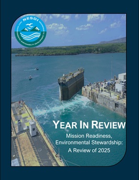 Year In Review Cover